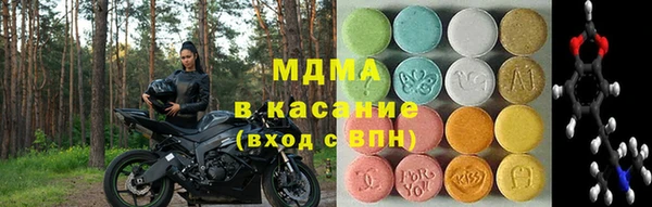 индика Богданович