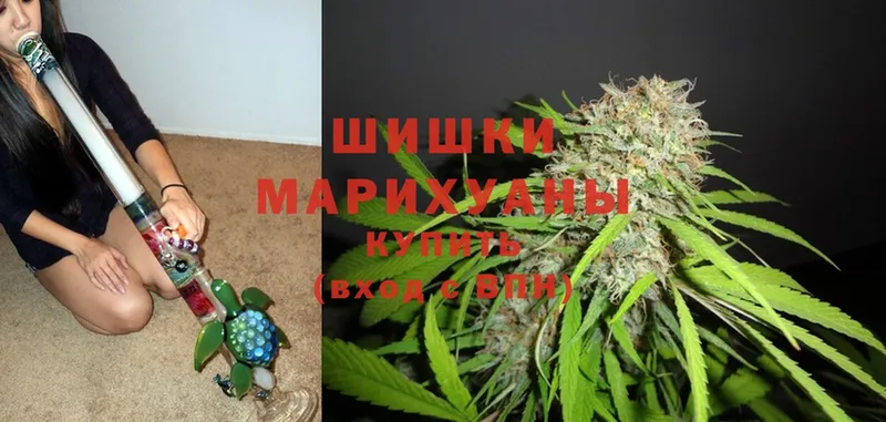 Каннабис SATIVA & INDICA  Электросталь 